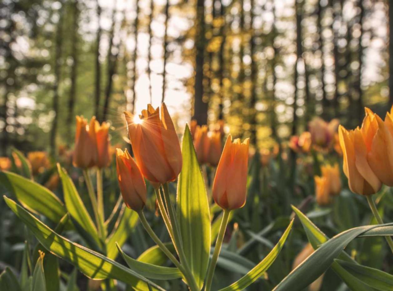 金洋6娱乐，注册|重庆专业抗震支架购买平台