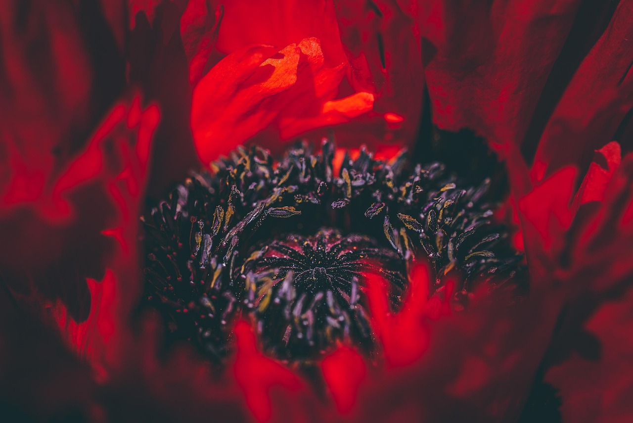 摩臣4娱乐,注册|发薪平台代理