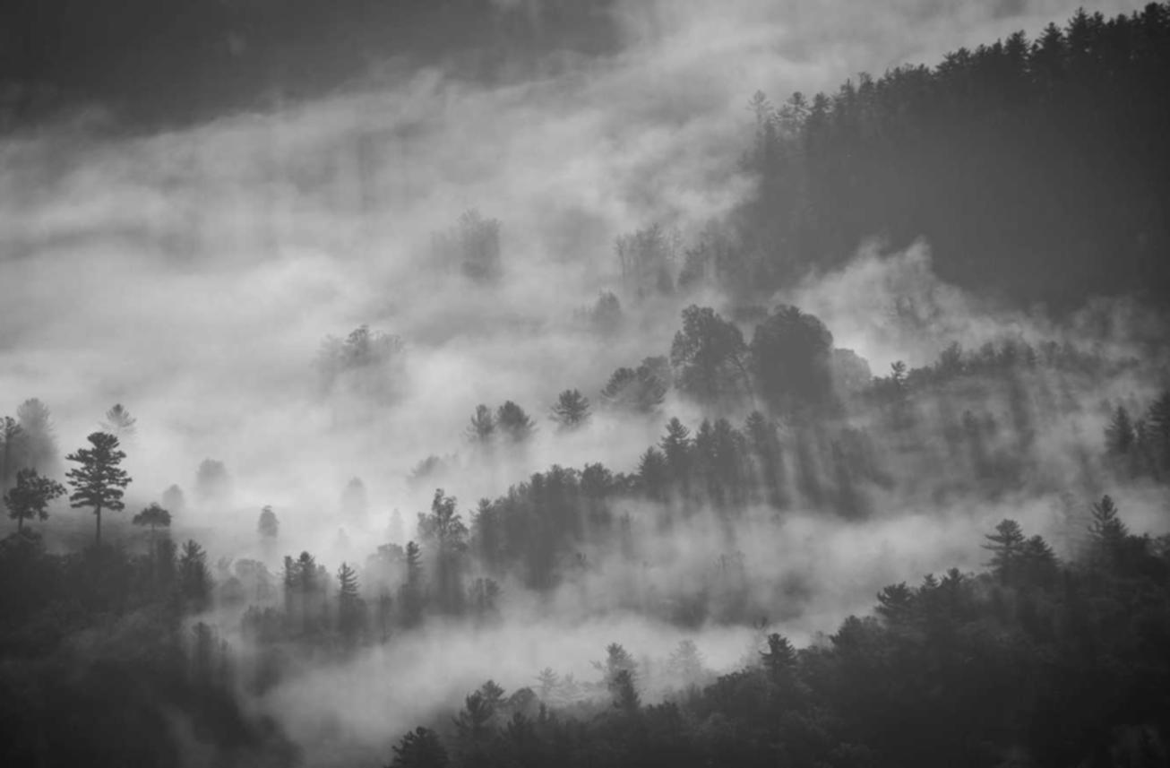 ucloud实名账号：重庆企业注册代理价格