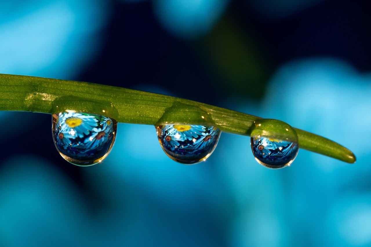 DDOS攻击器|yy注册账号官网