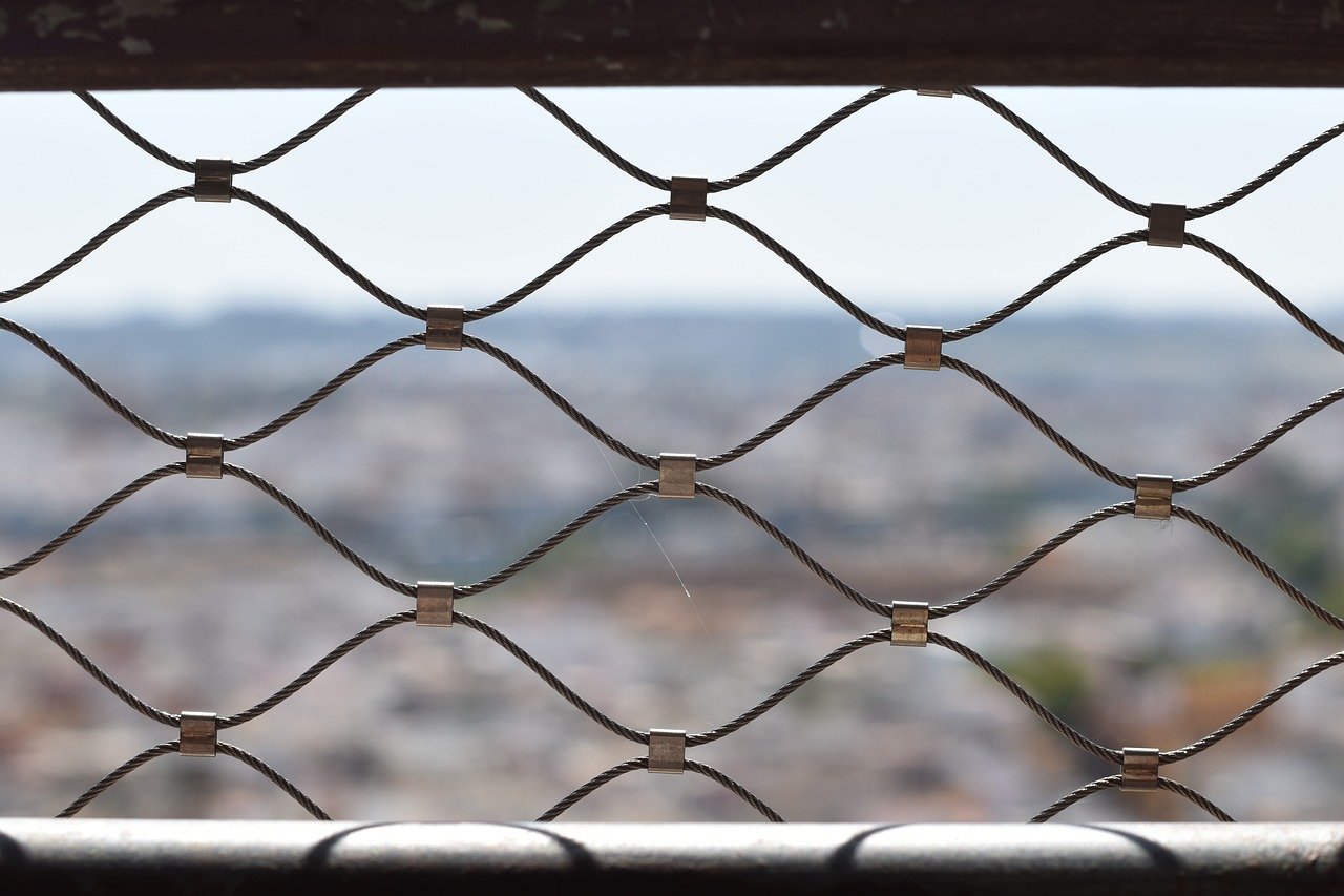 ddos：详情下载教程图片的app