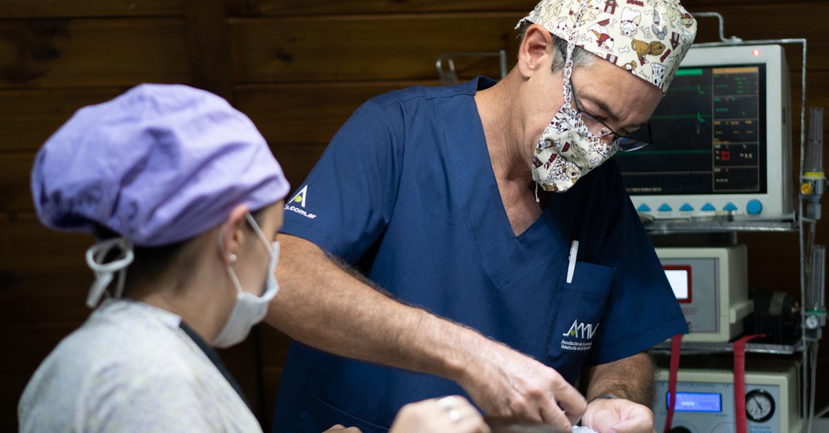 苍空物语：领取养老金怎么注册账号