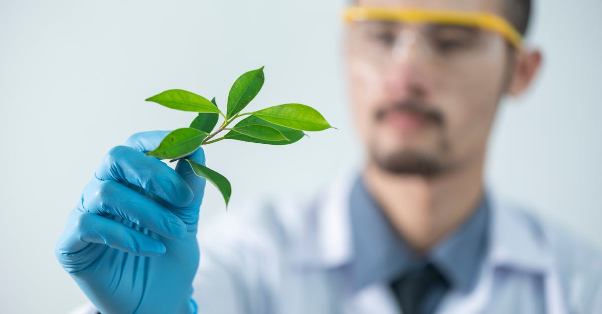 公司注册代理方案