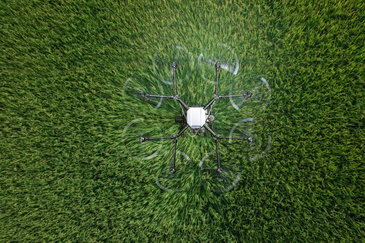 解读网络攻击软件- 食菜网app详情下载教程