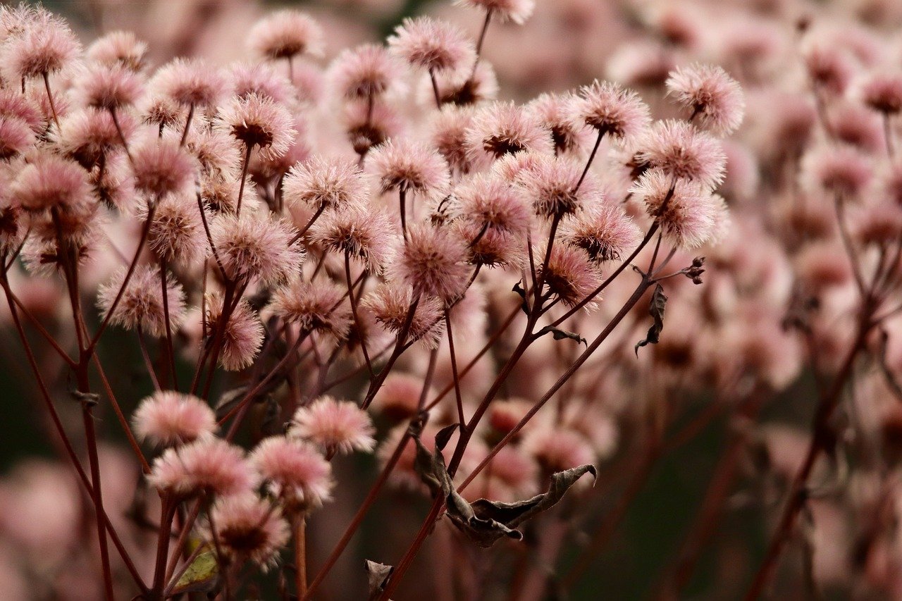 pu app详情下载教程