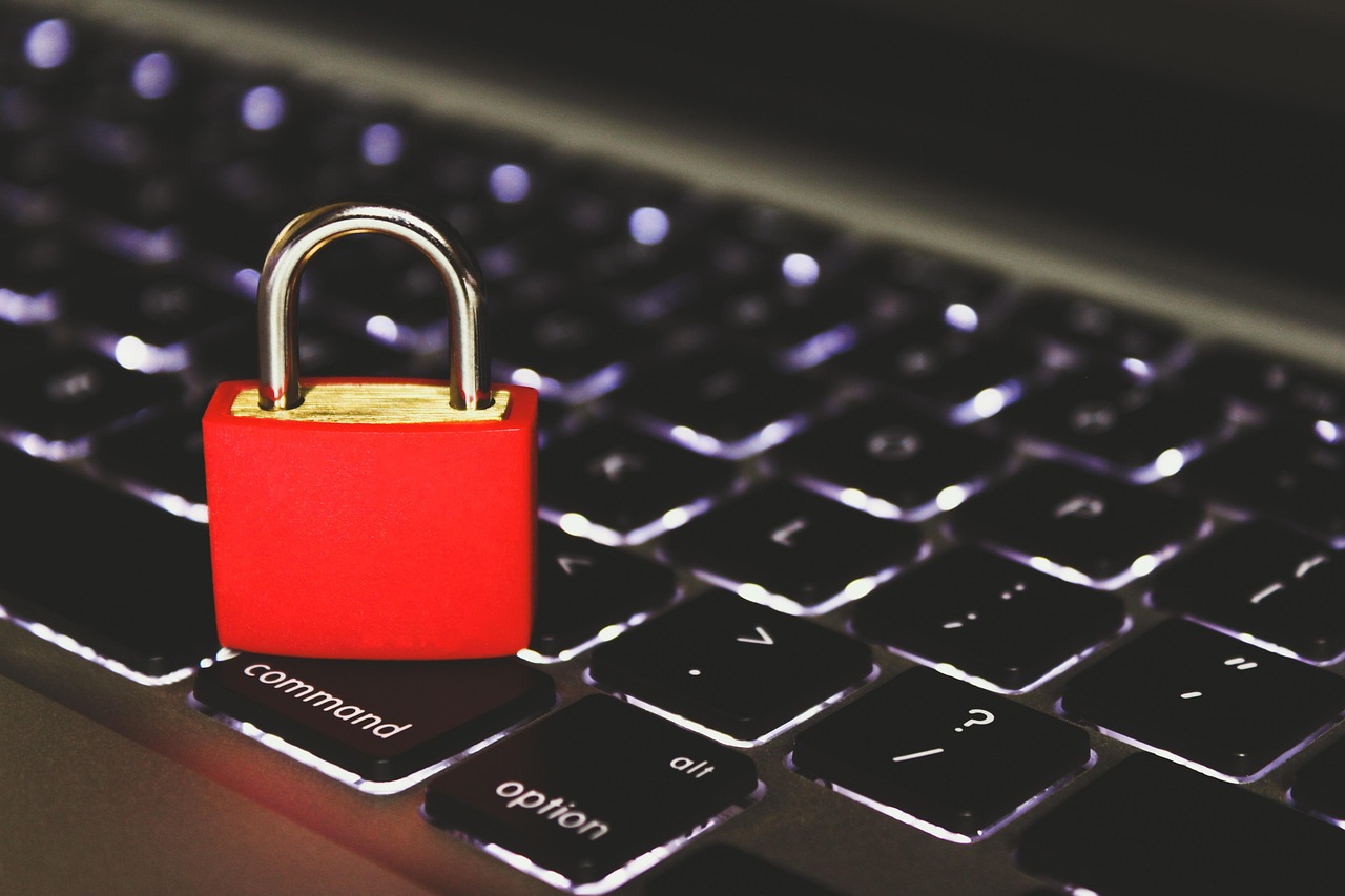 博希沃运营app详情下载教程安装